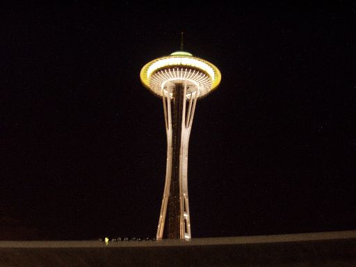 P9020087 Space needle at night