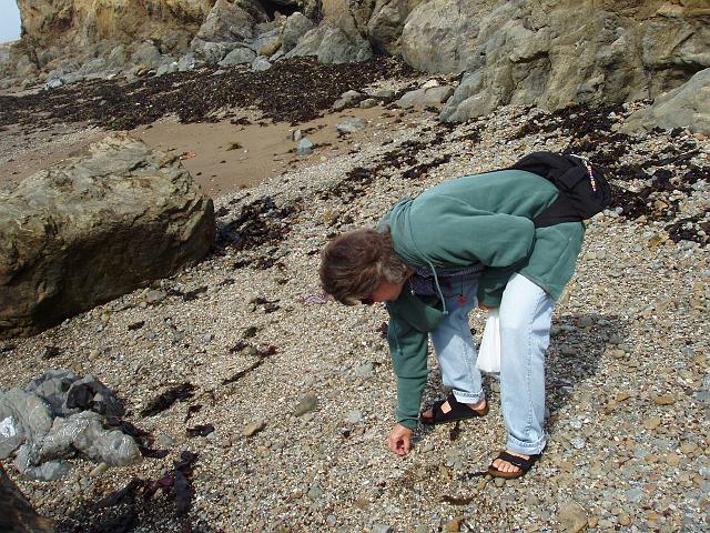 P9080005.JPG - Searching for glass at Glass Beach